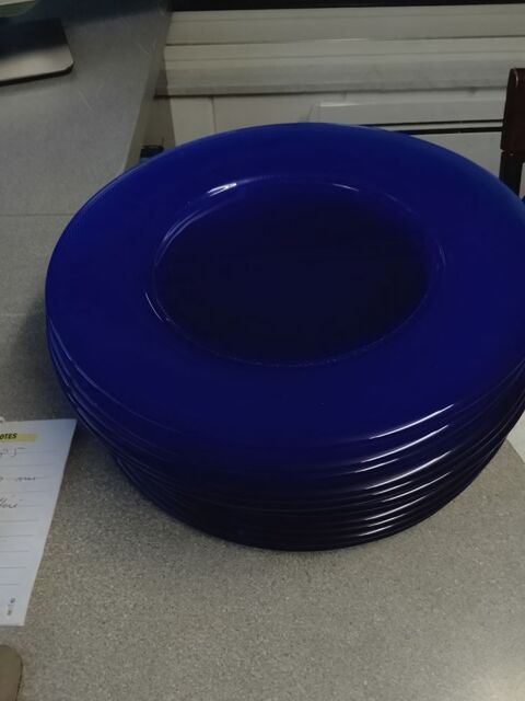 Rare propose cette serie de 12 grandes  assiéttes bleue 30 Briey (54)