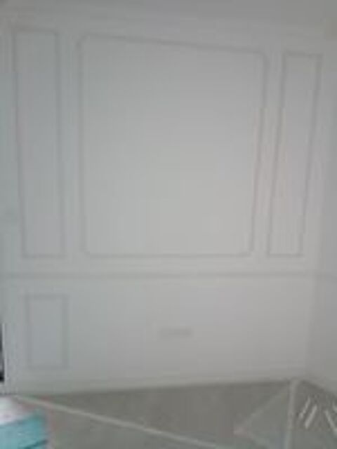   Vous envisagez des travaux de peinture voire + encore... 