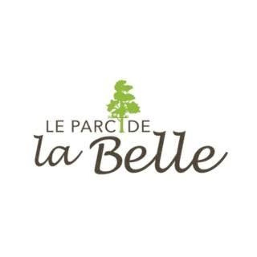 PASS 4 parcs Vall&eacute;e Singes Cormenier Parc Belle, D&eacute;fiPlanet' Billetterie