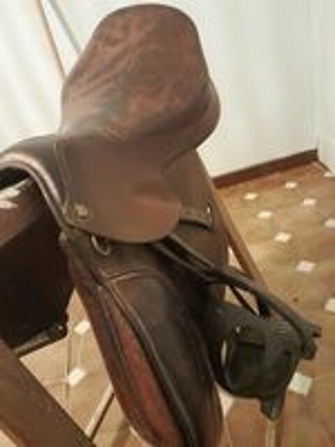   Selle  forestier  