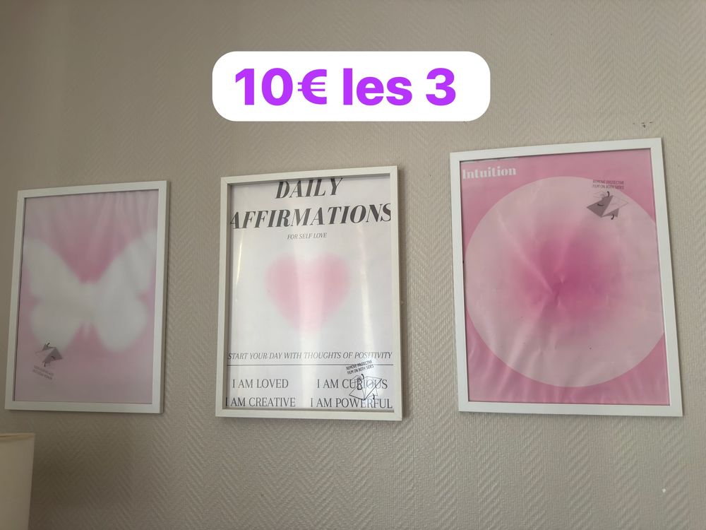Derni&egrave;re channce, je d&eacute;m&eacute;nage aujourd'hui Meubles
