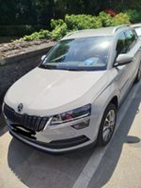 Karoq 1.0 TSI 110 ch Business 2022 occasion 74100 Annemasse