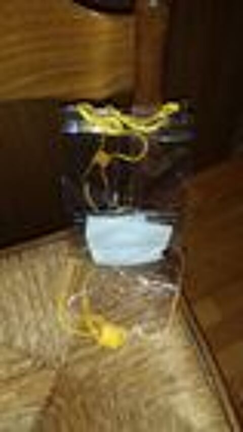 2 sacs en plastique avec cordelire neuf 0 Mrignies (59)