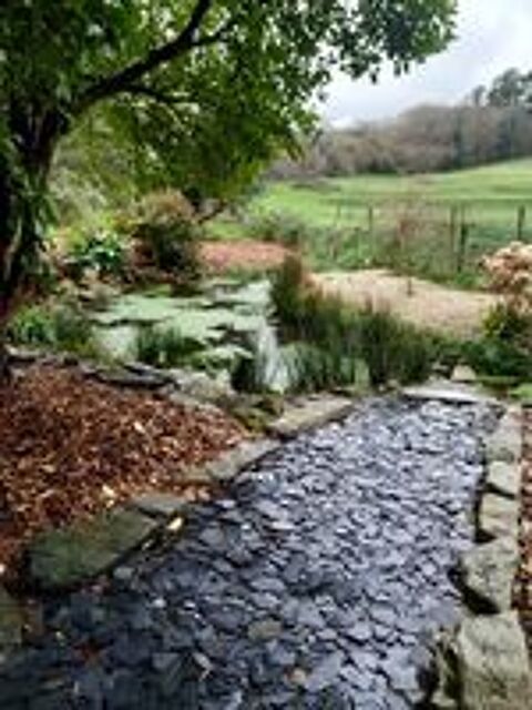   entretien de jardin 