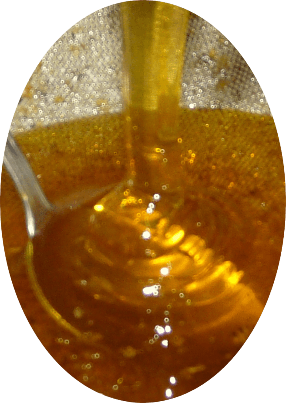 miel de fleurs Cuisine