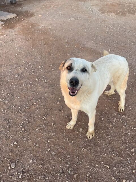 Rioo 320 27620 Gasny