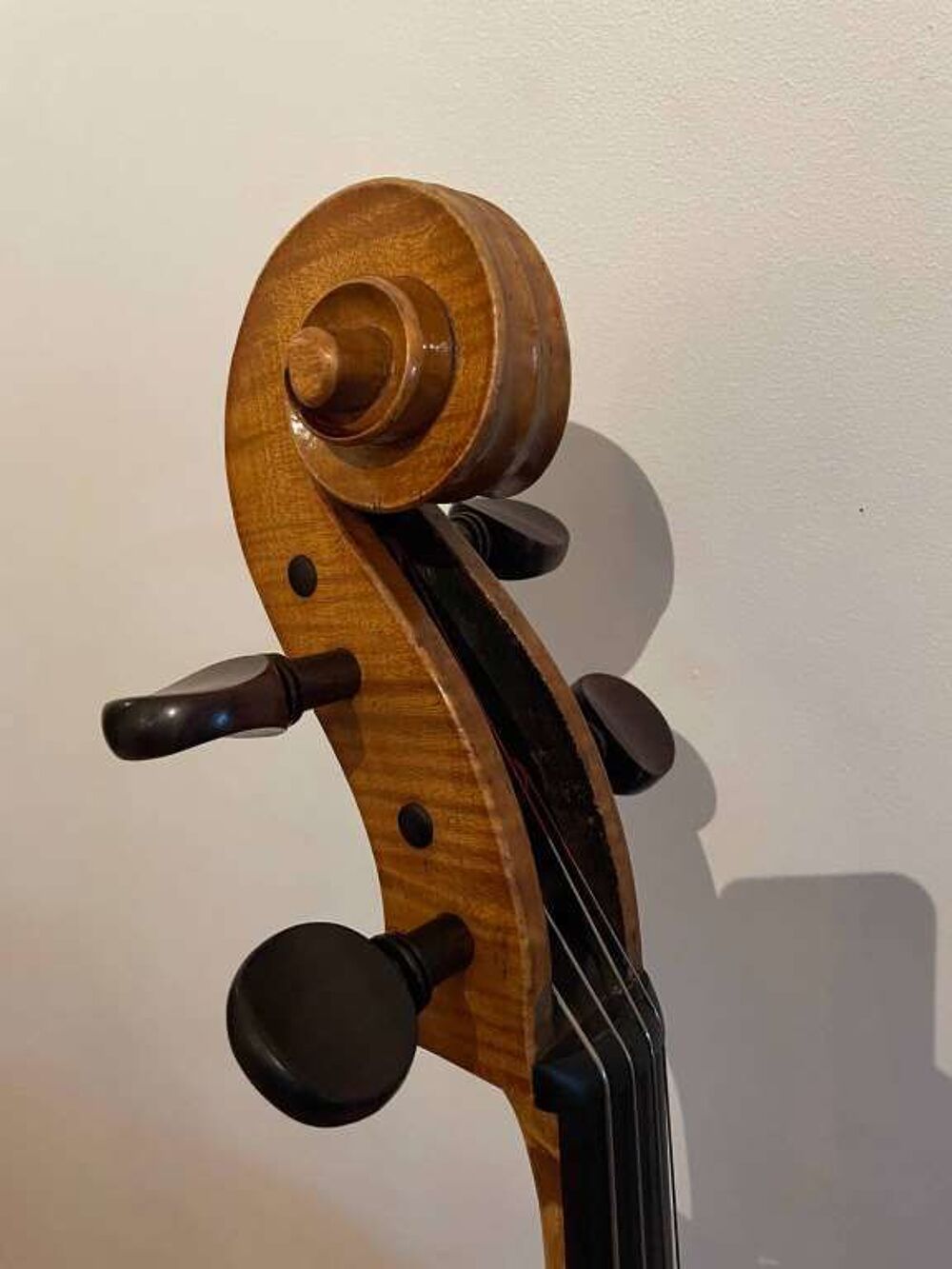 Magnifique Violoncelle allemand fin XIX Instruments de musique
