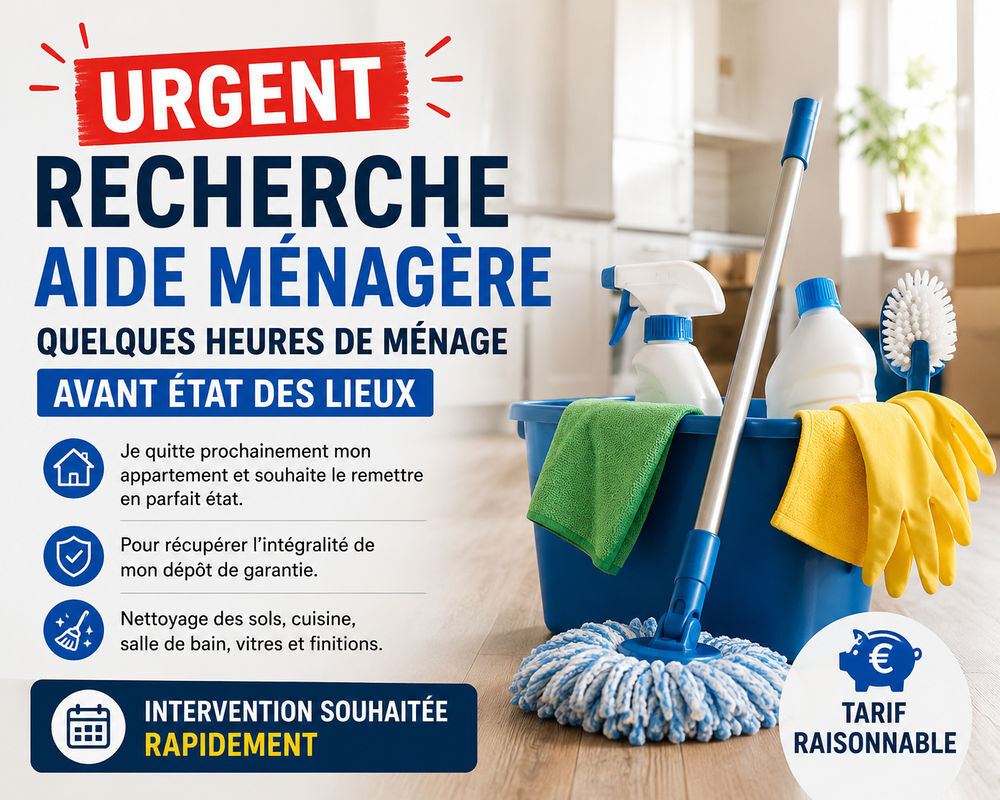  Recherche aide ménagère avant état des lieux. 