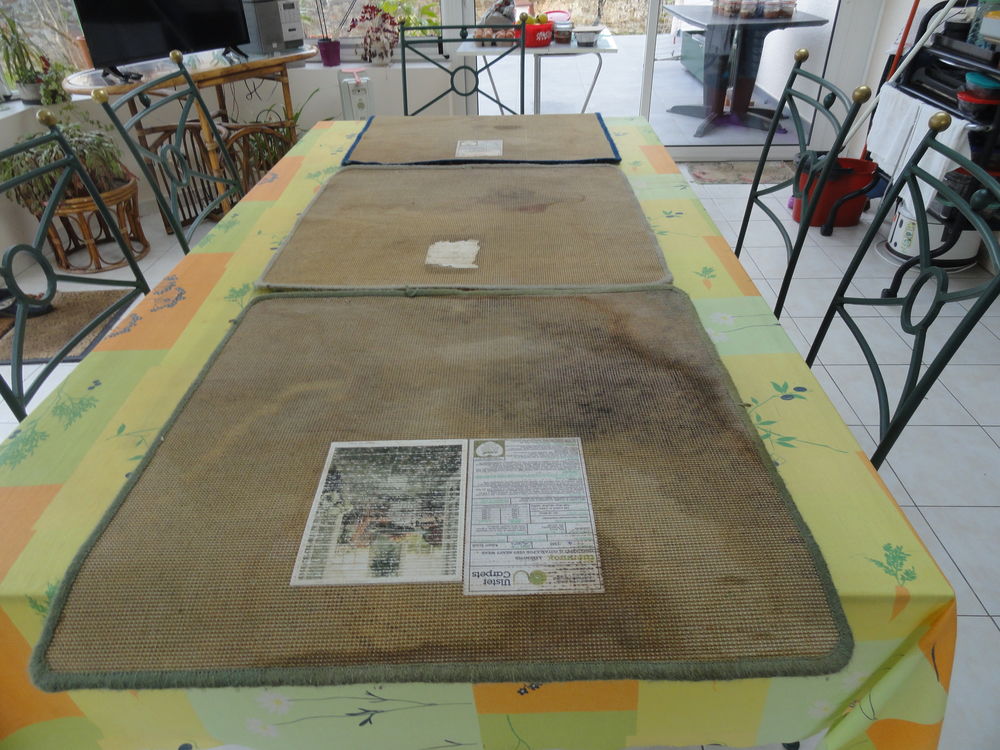 Tapis ( 69 cm X 66 cm ) Décoration