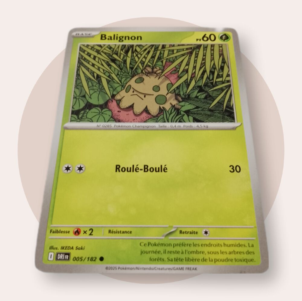 Lot de 12 cartes Pok&eacute;mon 2025 voir photos 