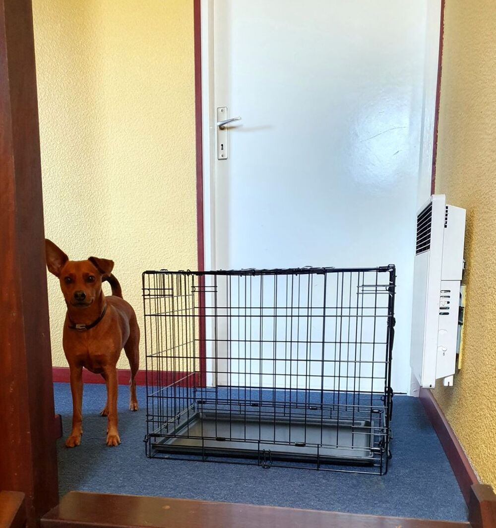 Cage pliante pour petit animal Meubles
