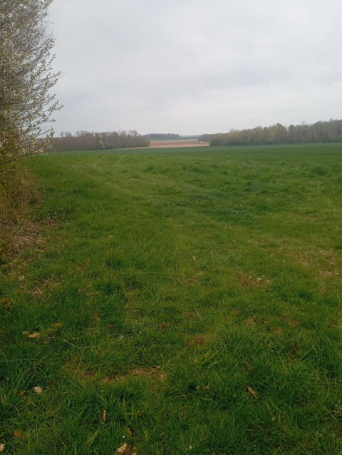 Action mixte petit et gros gibier en Seine-et-Marne. 530 Sognolles-en-Montois (77)