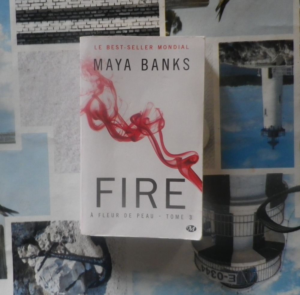 FIRE A fleur de peau T3 de Maya BANKS Livres et BD