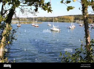  Appartement  vendre 4 pices 68 m Lacanau