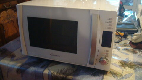 four  cuisson +micro onde 70 Mably (42)