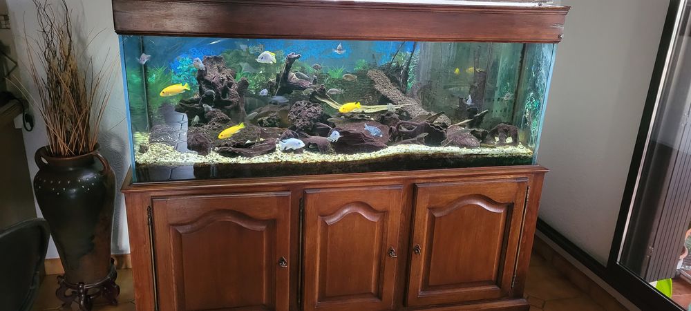   Aquarium rectangulaire Complet de 580 L (150*60*60) 