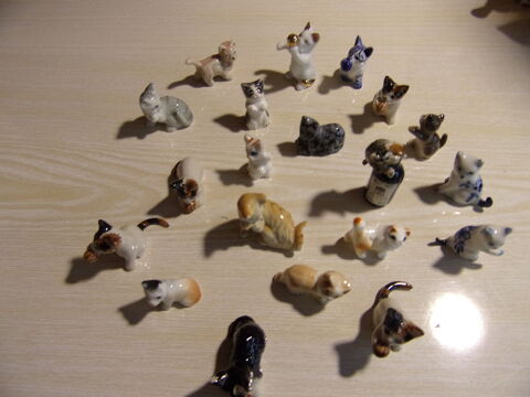 chats miniatures 0 Longeville-en-Barrois (55)