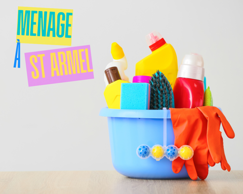 Cherche employ&eacute;.e de m&eacute;nage pour particuliers 0 35230 Saint-armel