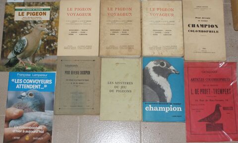 livres pigeons voyageurs 10 Montcy-Notre-Dame (08)