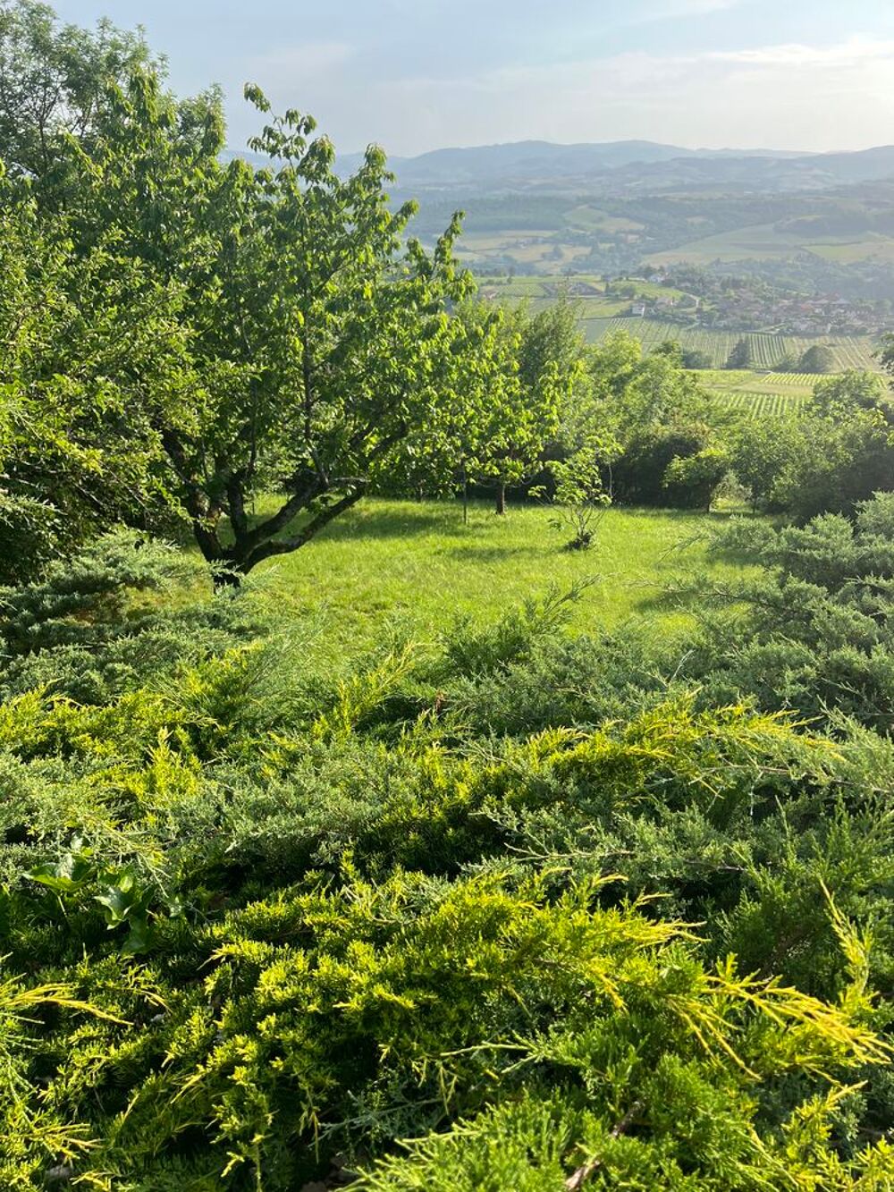 Vente Maison Maison le Bois d'oingt Le bois-d'oingt