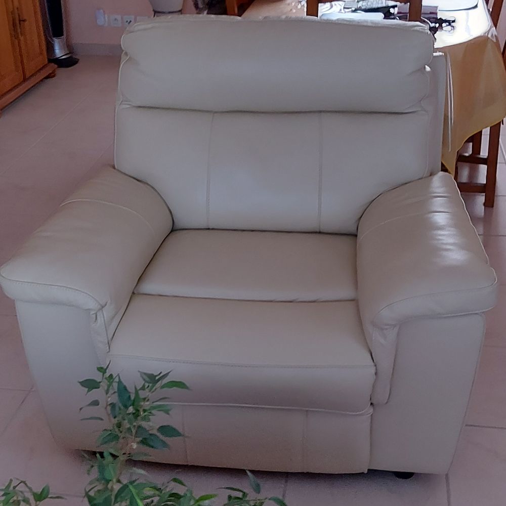 Fauteuil cuir Chateau d'Ax Meubles