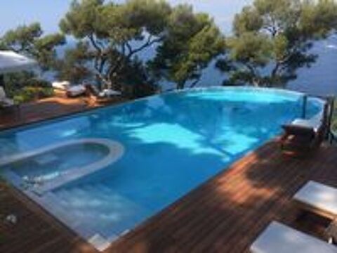   Je vous propose mes services entretien maison piscine jardin 