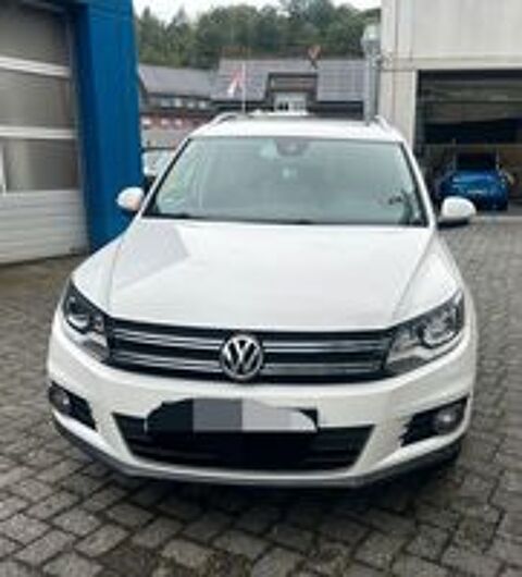 Tiguan 2014 occasion 20260 Calvi