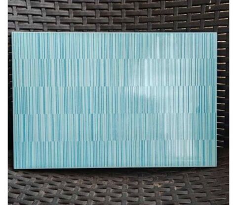 carrelage mural 30 Le Puy (33)