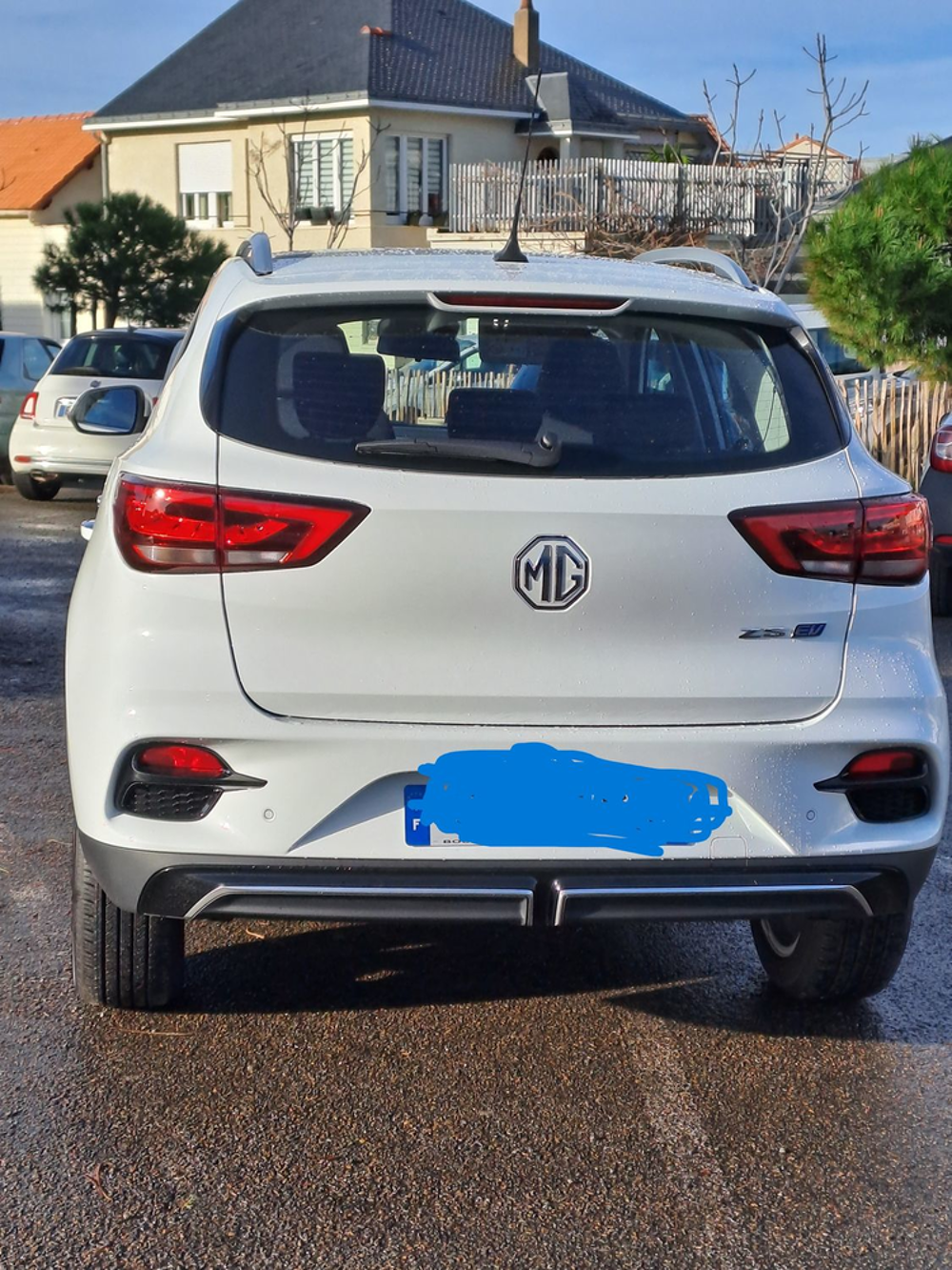ZS EV 44.5 kWh Luxury 2023 occasion 44730 Saint-Michel-Chef-Chef