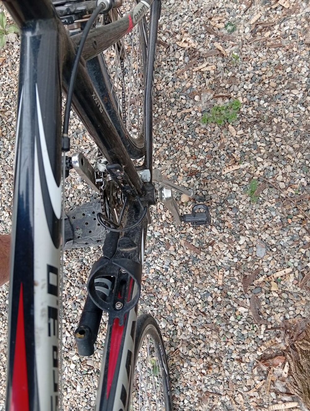 velo de route giant + chaussures Vélos
