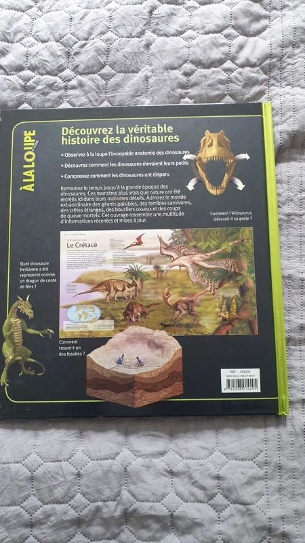les dinosaures &agrave; la loupe
Tr&egrave;s bon &eacute;tat
Auteur
Long John
tr&egrave; Livres et BD