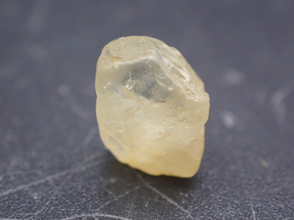 Chrysob&eacute;ryl Santa Tereza Espirito santo Br&eacute;sil 