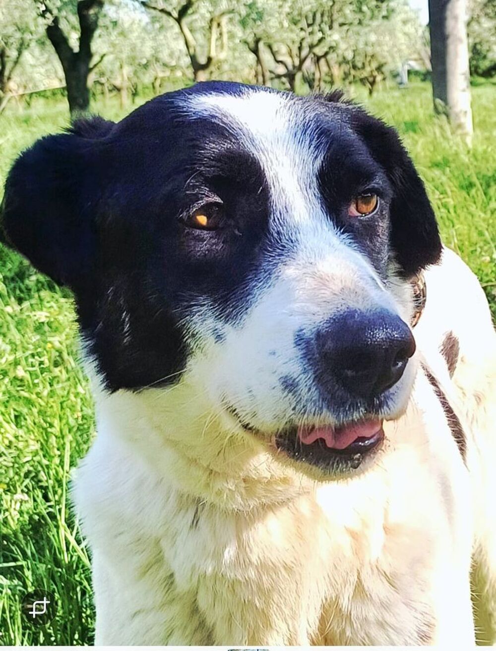   JACKY SE TROUVE DANS UN REFUGE EN ALBANIE 