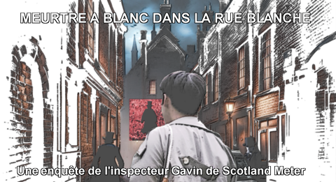 Meurtres à blanc dans la rue blanche 2 Lyon 8 (69)