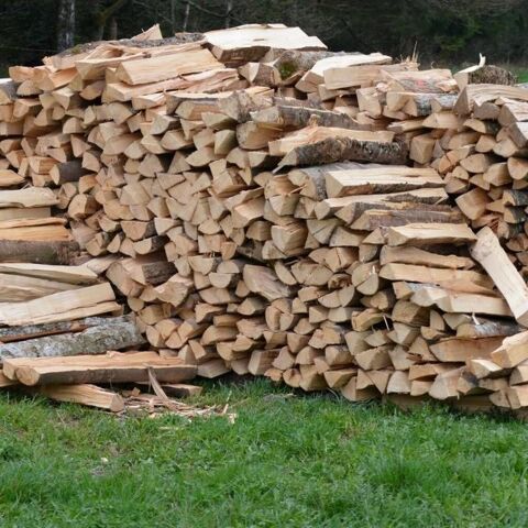 Bois de chauffage sec 60 Corbeil-Essonnes (91)