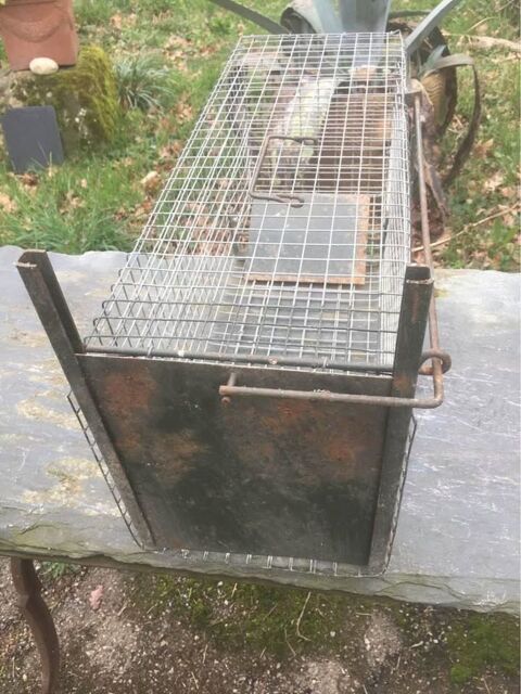 Cage/pi&egrave;ge /attrape rongeur
45 81100 Castres