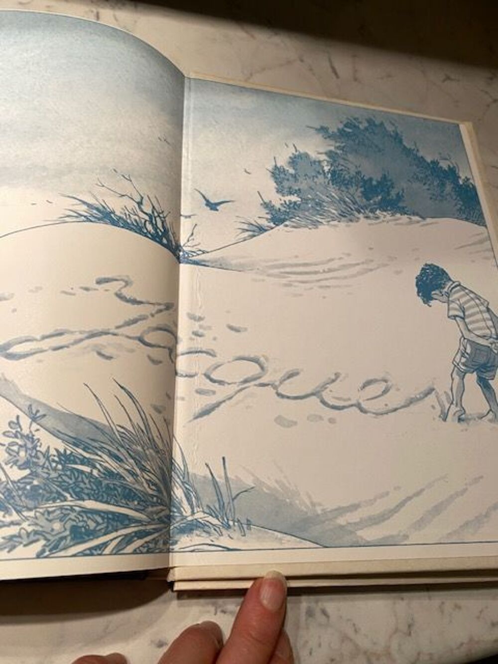 deux volumes des chantons de Jacques Brel&nbsp;: illustration de Livres et BD