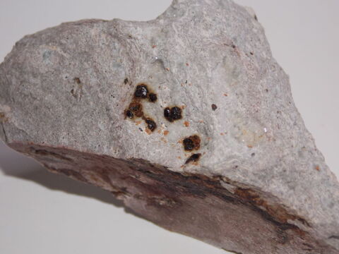 Andradite sur Liotite (micro-Cristaux) Latium Italie 110gr  12 Moyenmoutier (88)