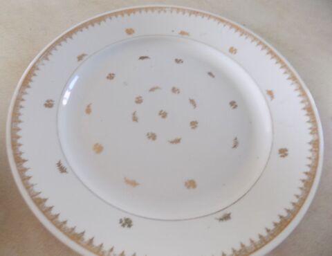 Plat de service 5 La Motte-d'Aveillans (38)