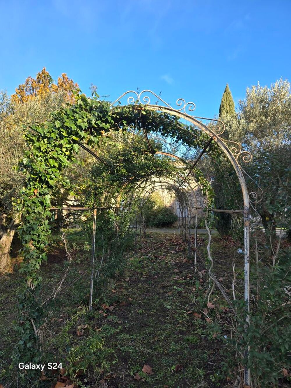 tonnelle en fer forg&eacute; Jardin