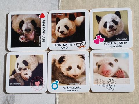 SOUS-VERRES motif PANDA 6 Nevers (58)