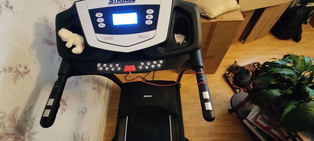 Tapis de course striale Sports