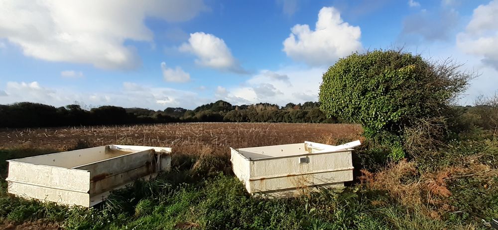 2 bacs de pisciculture en polyester Jardin