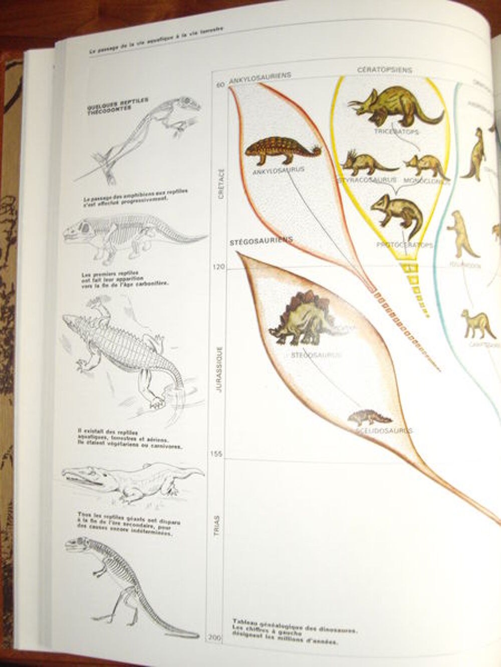 COLLECTION HACHETTE "LES ANIMAUX" 8 tomes Livres et BD