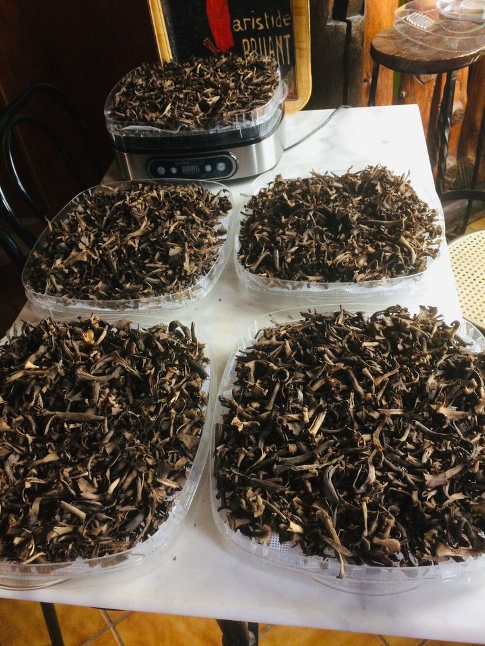 TROMPETTES DE LA MORT SECHEES cueillies cet automne Cuisine