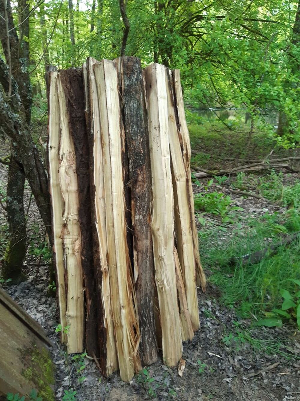   piquets acacia pour clture  