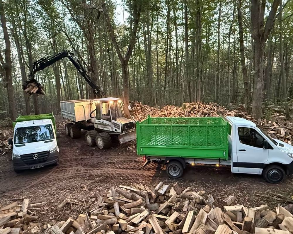 Bois de chauffage Bricolage
