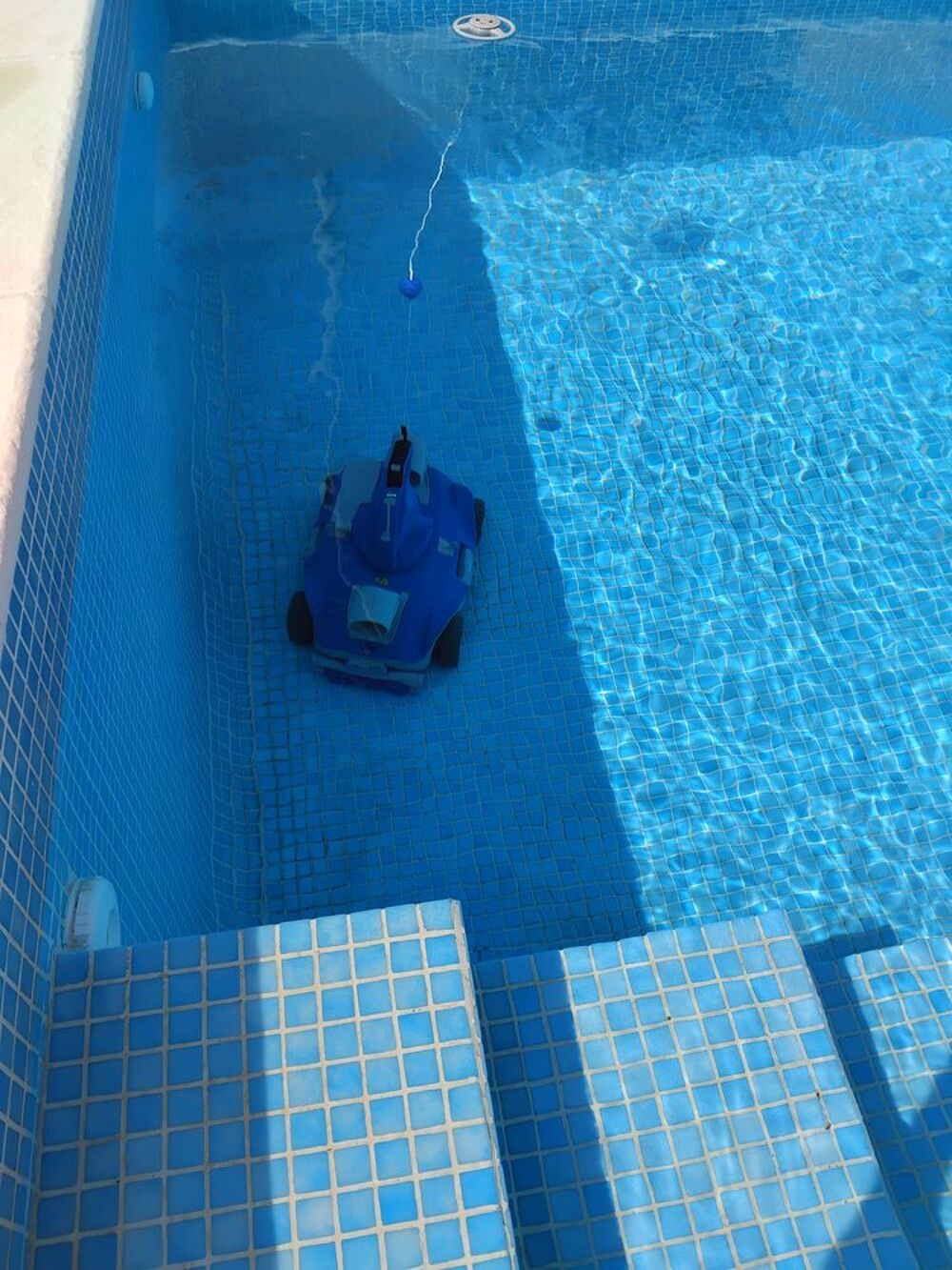 cause d&eacute;m&eacute;nagement robot piscine Jardin