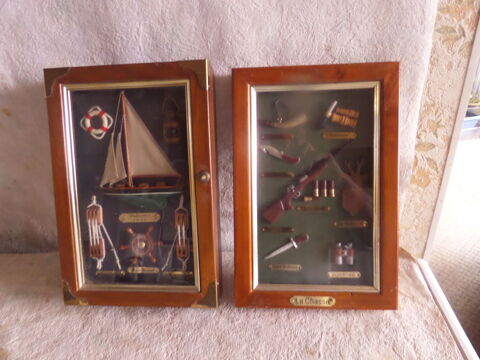 2 cadres voile et chasse 10 Lyon 8 (69)