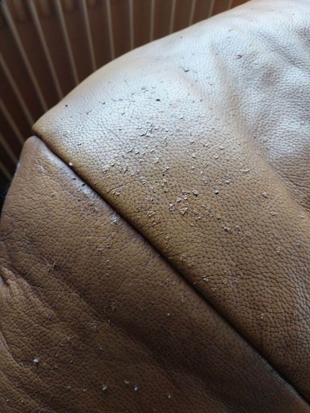 2 fauteuils en cuir et bois Meubles